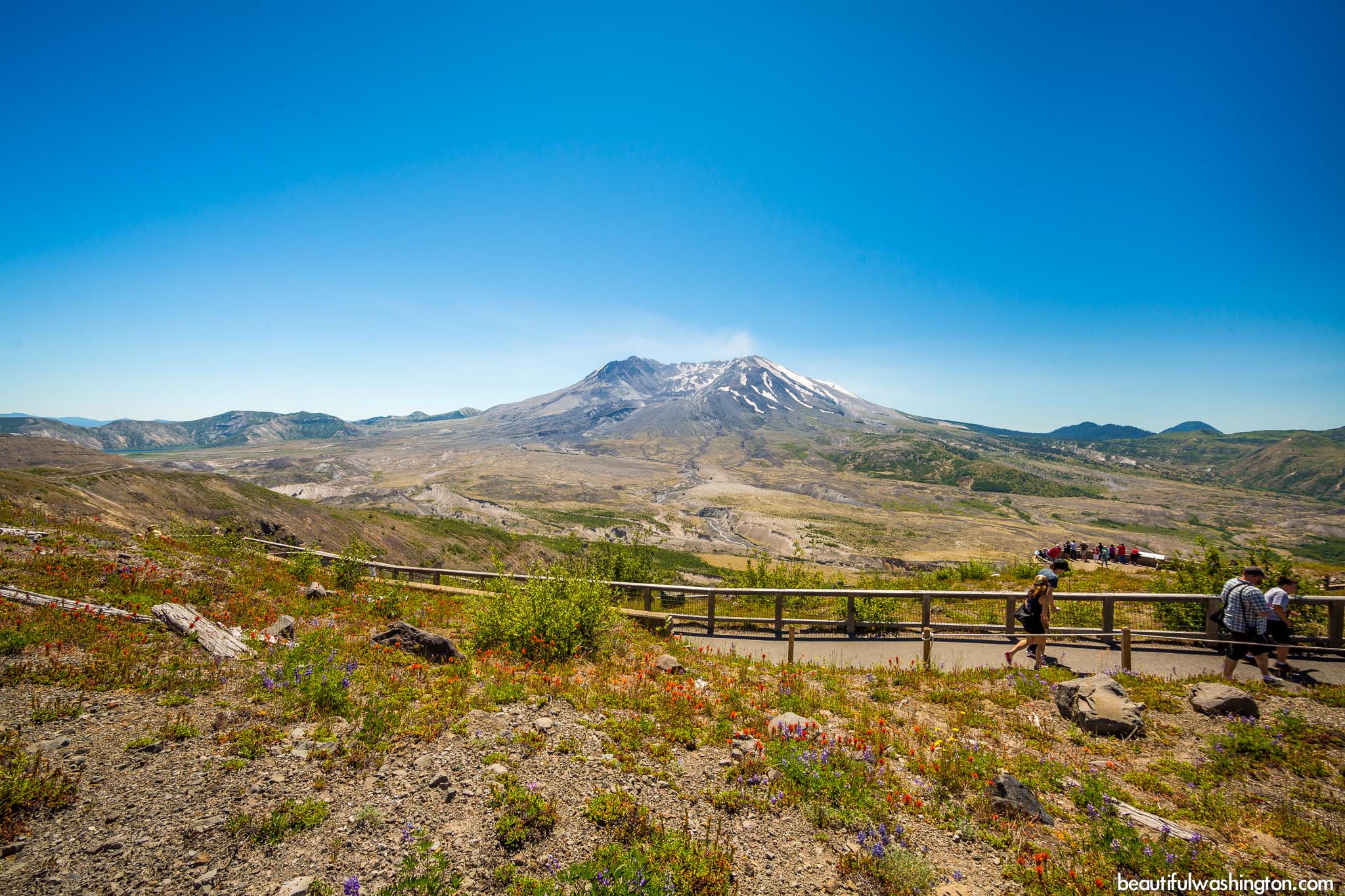 Photo from Mount St. Helens Area, Harry's Ridge Trail
